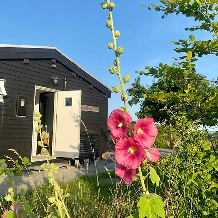 Outdoor Life In At Draby