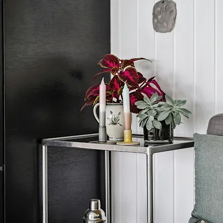 Outdoor Life In At Draby * Ebeltoft